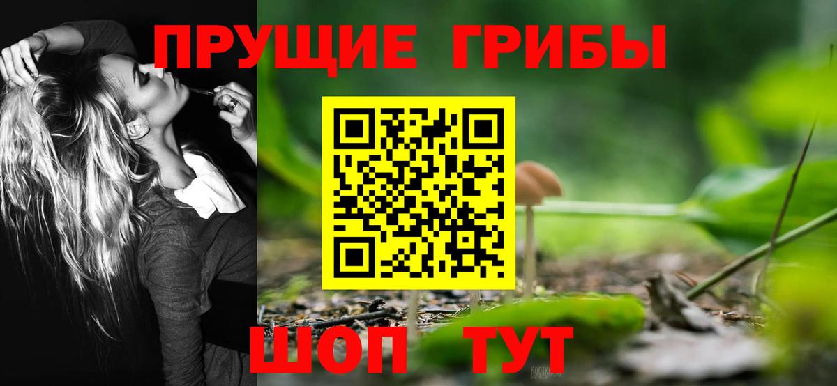 Галлюциногенные грибы мухоморы  Галлюциногенные грибы MAGIC MUSHROOMS  Вход с VPN  хочу наркоту  Серов 